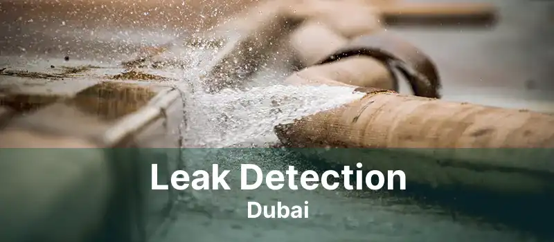 Certified water leakage in Dubai UAE